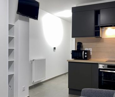 Appartement à louer 2 pièces • 19,40 m2 Annemasse - Photo 3