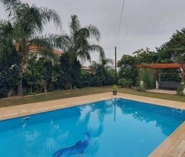 Μονοκατοικία για ενοικίαση - Κέα - Τζιά - Photo 3