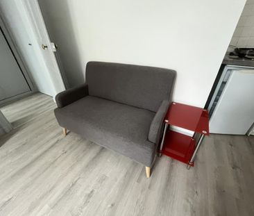 Location Appartement 1 pièce Meublé 18m² ANGERS 49000 - Photo 1