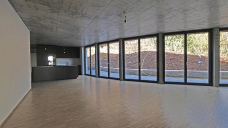 Exklusiver Wohnraum auf dem Bruderholz - Foto 5