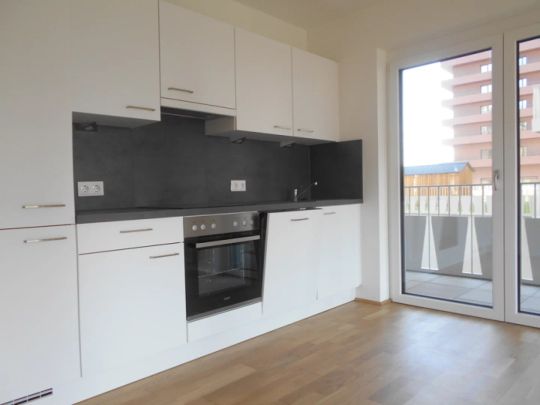 Q5 am PARK sonnige 2ZI mit 20m² S/O Balkon Reininghaus Gründe - Foto 1