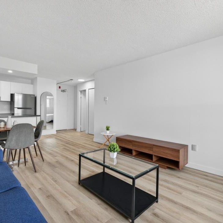 Appartement à louer - Gatineau (Hull) (Île de Hull) Appartement à louer - Gatineau (Hull) (Île de Hull) - Photo 1