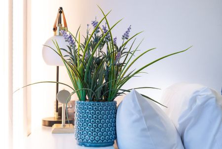 1 bedroom serviced apartment to rent - Photo 5