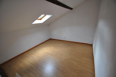 GRATTE CIEL/ RUE PAUL LAFARGUE - DUPLEX T2 RDC 47m2 , Villeurbanne - Photo 4