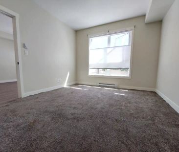 Le Sequoia on Watkiss — 1 Bedroom - Photo 5
