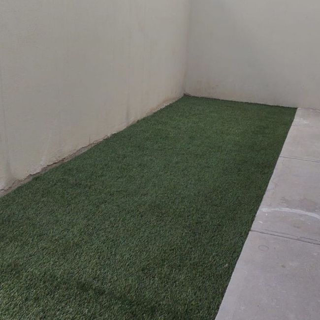 CASA EN RENTA EN NUEVO LEON - Photo 1
