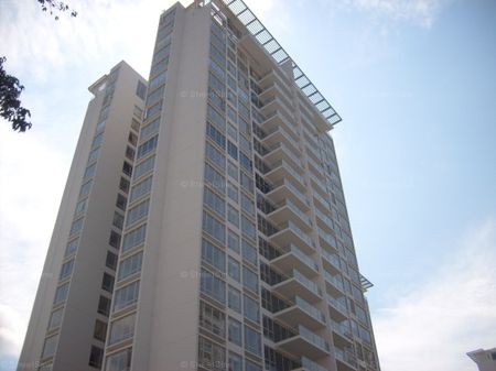 The Sea View (D15), Condominium - For Rent - Photo 4