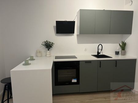 MIESZKANIE na WYNAJEM SZCZECIN (435572) - Photo 2