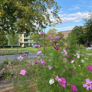 Hålsjögatan 37, Bellevuegården - Foto 2