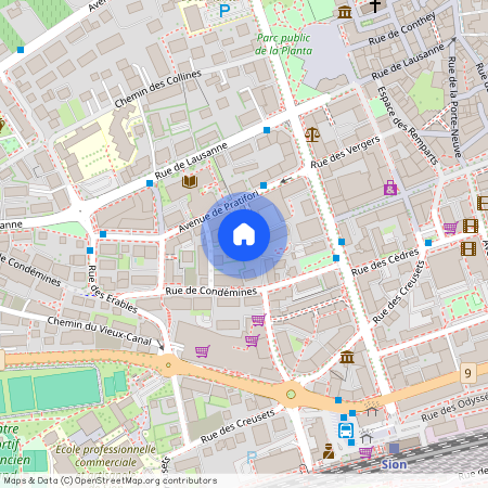 Rue Pré-Fleuri 19A, 1950 Sion