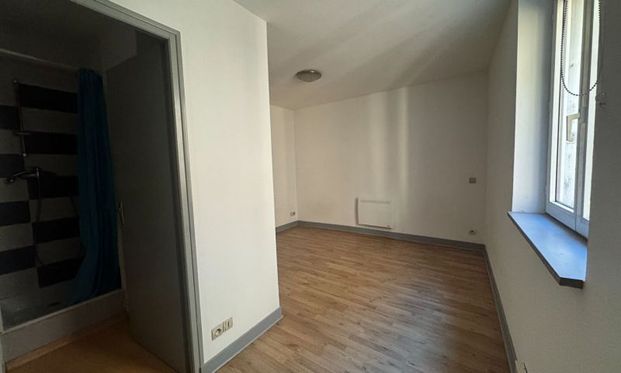 Location Appartement 1 pièce LIMOGES (87000) - Photo 1