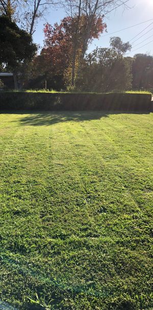 Mornington - Photo 2