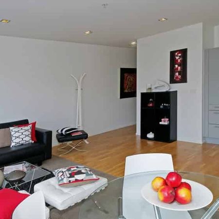 Hudson Brown - One Bedroom - Photo 4