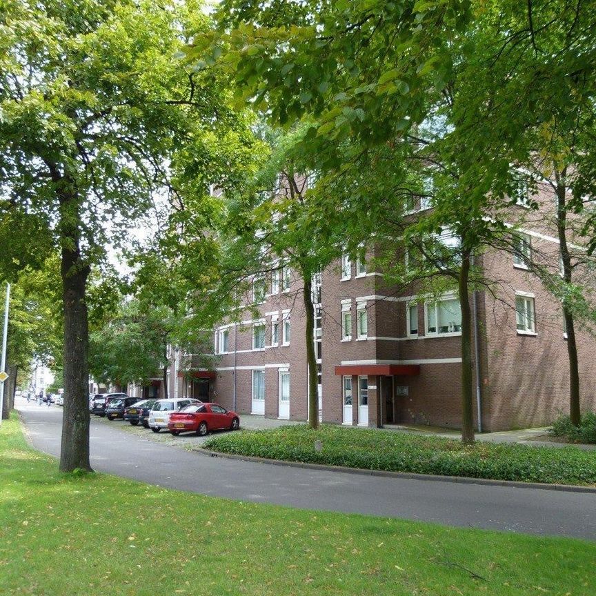 Te huur: Appartement Sint Annalaan in Maastricht - Photo 1