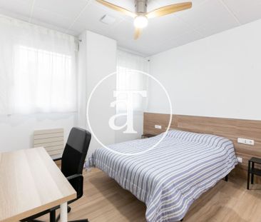 Monthly rental Studio with 1 bedroom, 1 bathroom in Latina - Photo 4