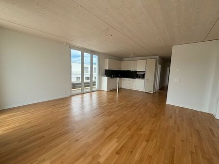 LE TICLE : Appartements neufs à louer - Photo 3