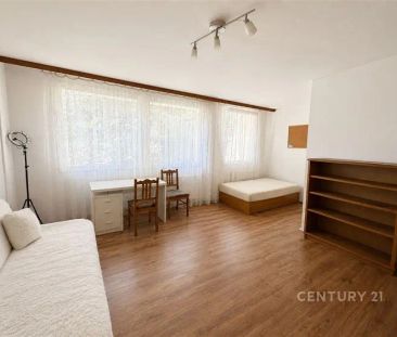 Pronájem bytu 3+1+2xhala+lodžie, Sartoriova, 121 m - Fotografie 1