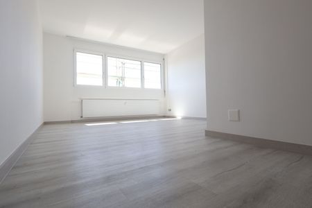 Luminoso 2.5 locali APPENA RISTRUTTURATO a Coldrerio - Photo 3