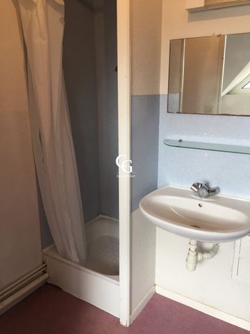 Location Appartement 1 pièce 17m² NANTES 44000 - Photo 2