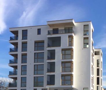 2 Zimmer, 49 m² - Photo 5