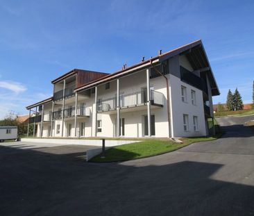 2 Zimmer, 43 m², 1. Stock - Photo 3