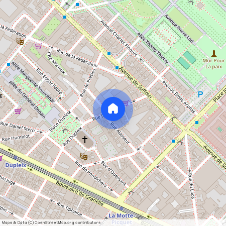 Boulevard de grenelle entre avenue de la Motte Picquet et rue Dupleix 75015 Paris (15e arrondissement)