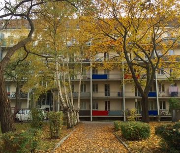 Platzmangel wird es hier nicht geben! - Photo 5