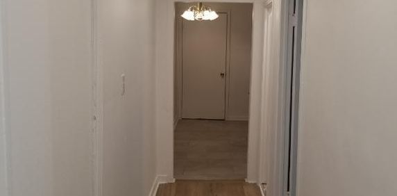 Grand logement 3 ½ à louer – Montréal-Nord – 1er juillet 2026 - Photo 2