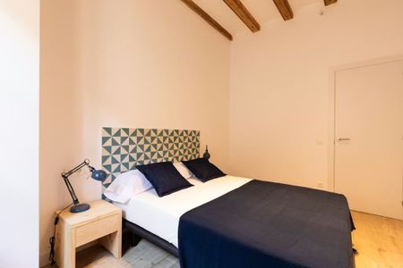 Carrer de Joaquín Costa, Barcelona, Catalonia 08001 - Photo 4