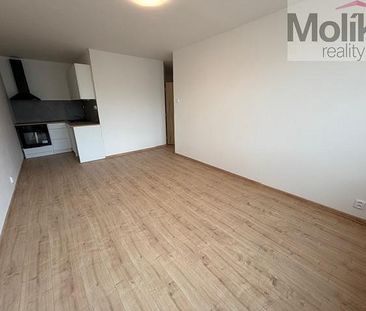 Pronájem bytu 2+kk 39 m² - Photo 4