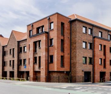 Classic Studio - Photo 3