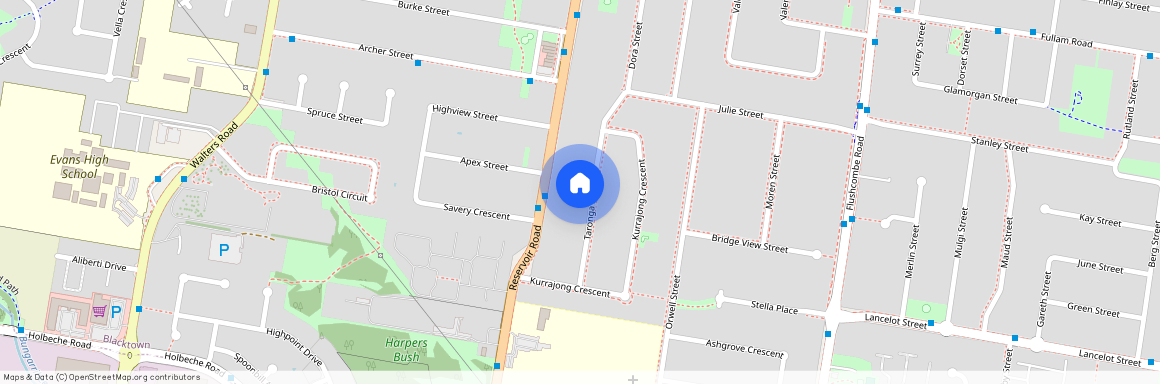 19 Taronga Street, Blacktown
