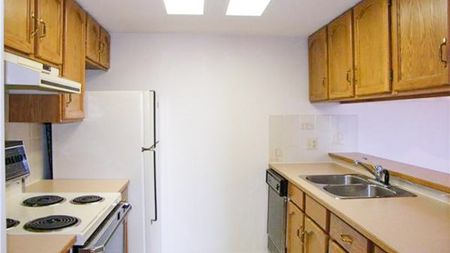 2 Bedroom Condo For Rent In University Heights - Photo 5