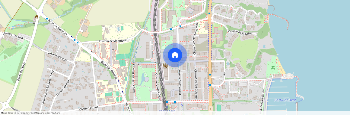 16, chemin du Petit-Montfleury, 1290 Versoix