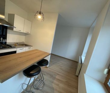 Appartement 1 pièce à Lunéville - Photo 3