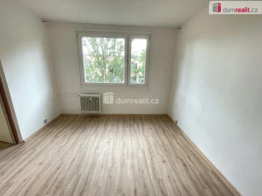 Pronájem bytu 2+kk Jílové 36 m - Photo 1