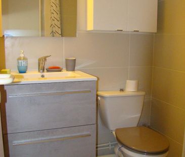Location Appartement 1 pièce 21m² POITIERS 86000 - Photo 5
