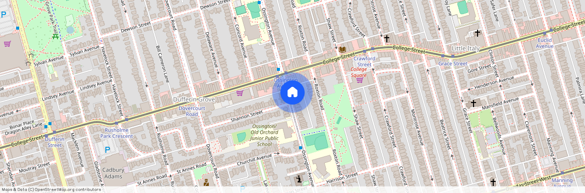 LOWER - 419 OSSINGTON AVENUE, M6J3A6, Toronto
