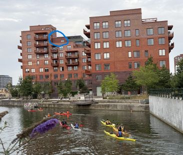 Neptunigatan, Malmö - Photo 6