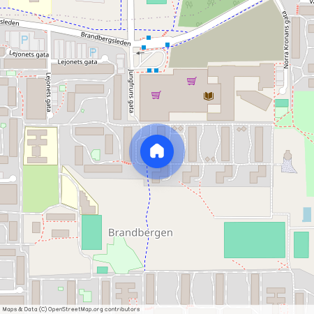 Jungfruns Gata 401, Brandbergen