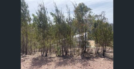 210 Reedy Creek Rd, Eurobodalla, NSW 2545 - Photo 3