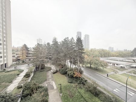 Updated and Bright Corner Unit Two Bedroom in Convenient Lougheed Area - Photo 4