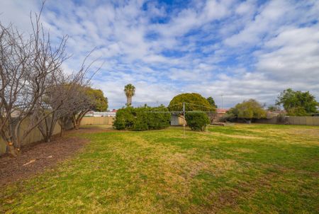 Ray White Real Estate Parkes - Photo 3