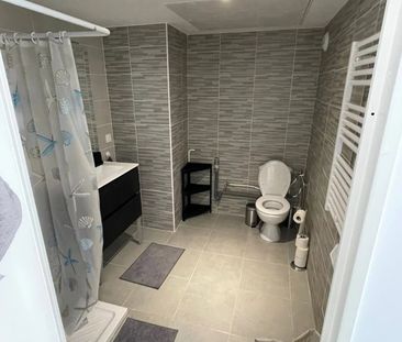 Location Appartement 1 pièce 25m² NICE 06000 - Photo 6