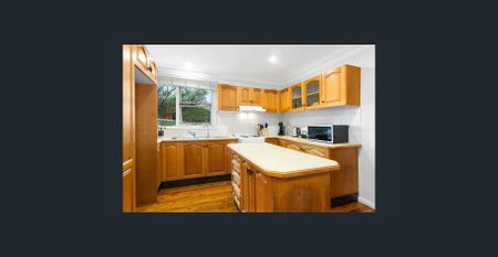 29 Surrey Avenue, Georges Hall, NSW 2198 - Photo 4