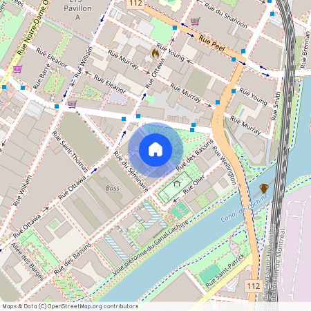 170 Rue Rioux Montréal (Le Sud-Ouest), QC H3C