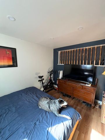 Condo for rent, Montréal (Le Sud-Ouest) - Photo 4