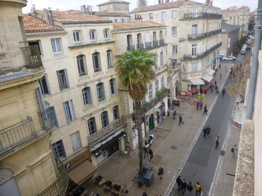 Location appartement 2 pièces 36.34 m² à Montpellier (34000) - Photo 1