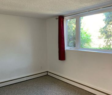 1 BDRM/1 BATH - 2102 MAIN ST - Available NOW *December Rent Special!* - Photo 5