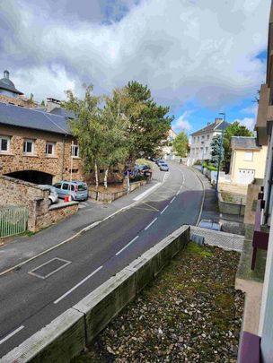 Location appartement t2 41 m² à Rodez (12000) - Photo 1